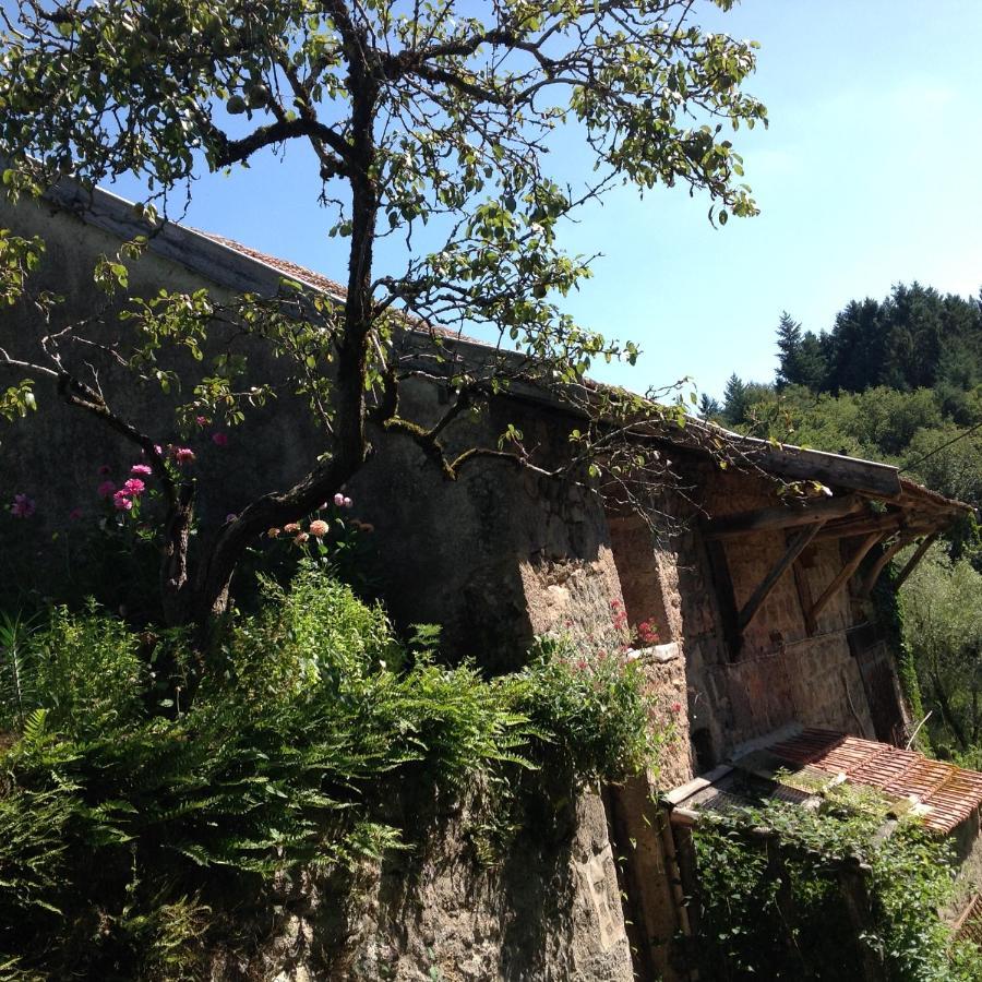 Chambre Privative Et Originale, A 20 Mn De Cluny Trivy Luaran gambar